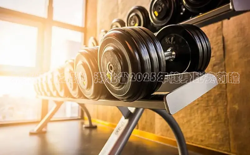 ob视讯官方网站